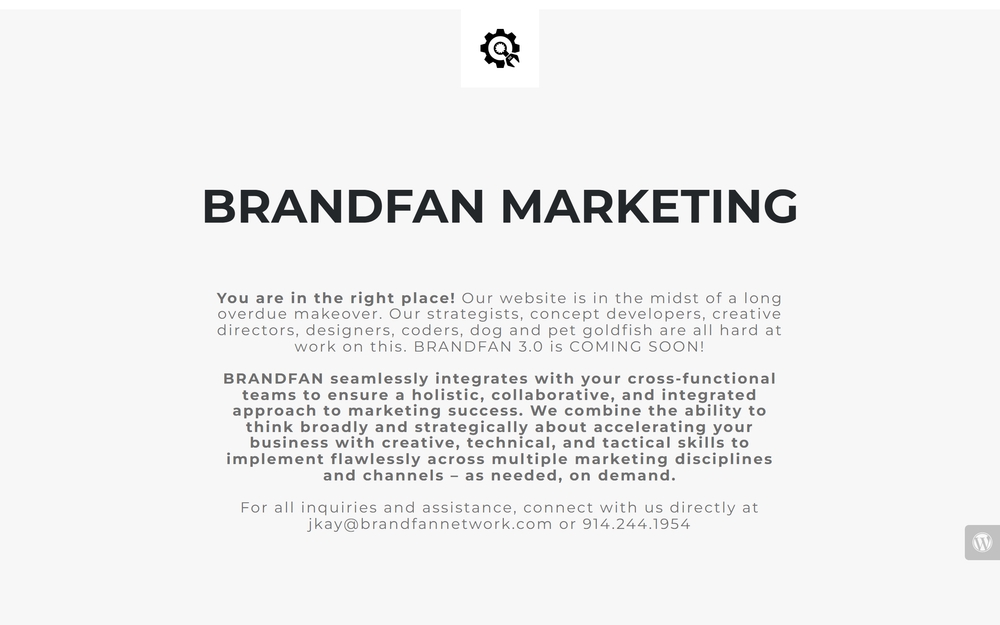 img of B2B Digital Marketing Agency - BRANDFAN