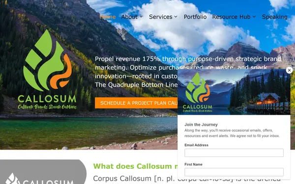img of B2B Digital Marketing Agency - Callosum