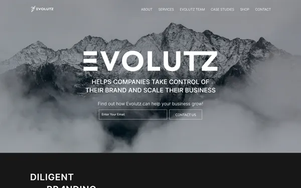 img of B2B Digital Marketing Agency - Evolutz