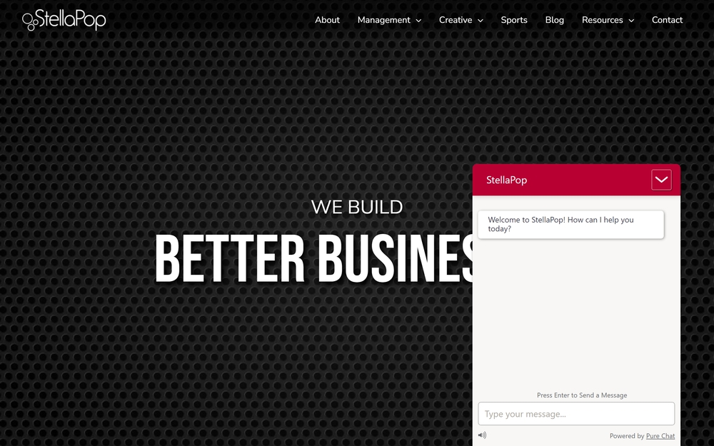 img of B2B Digital Marketing Agency - StellaPop