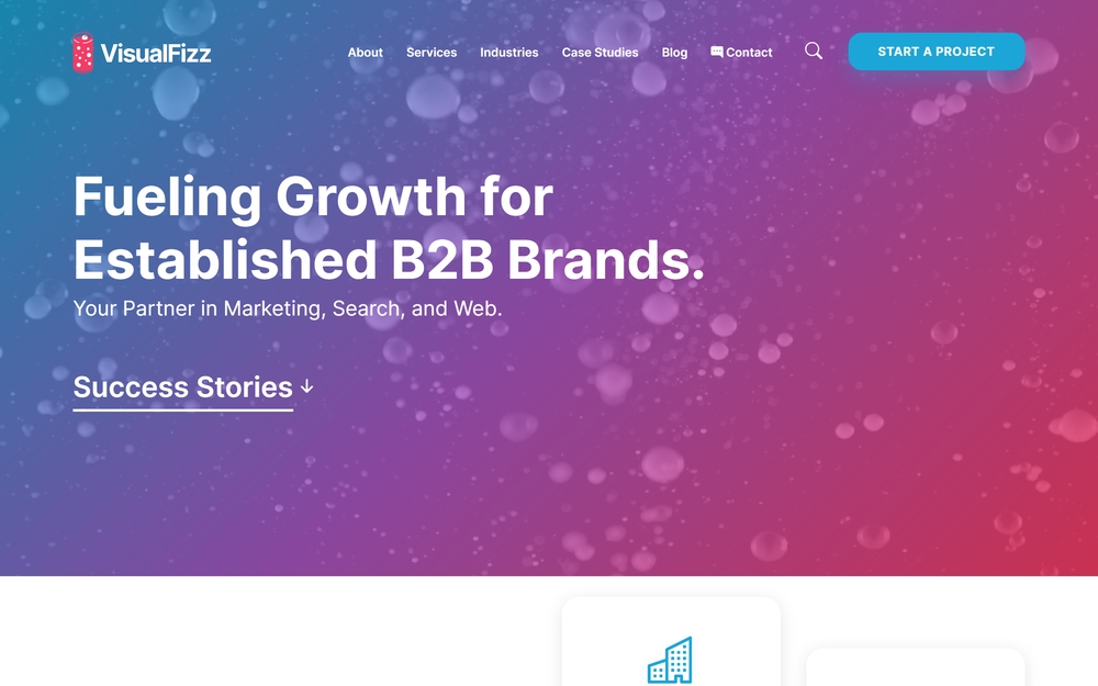 img of B2B Digital Marketing Agency - VisualFizz